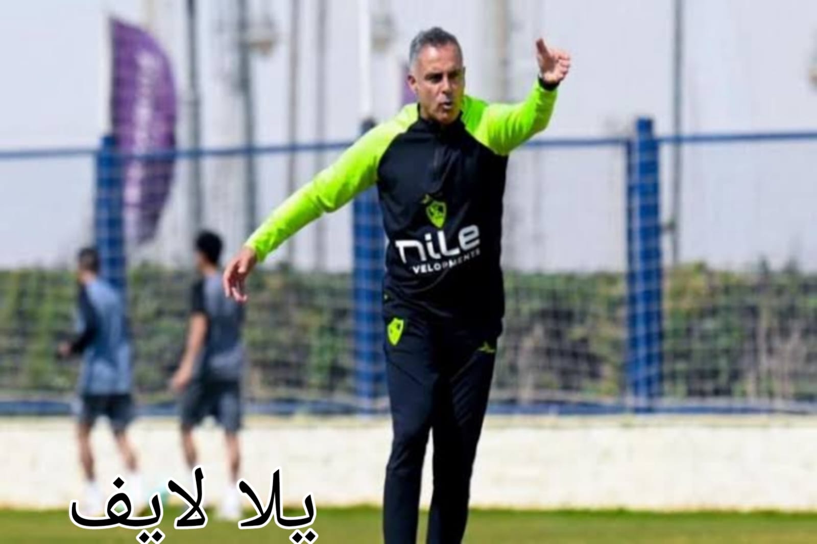 الأهلى