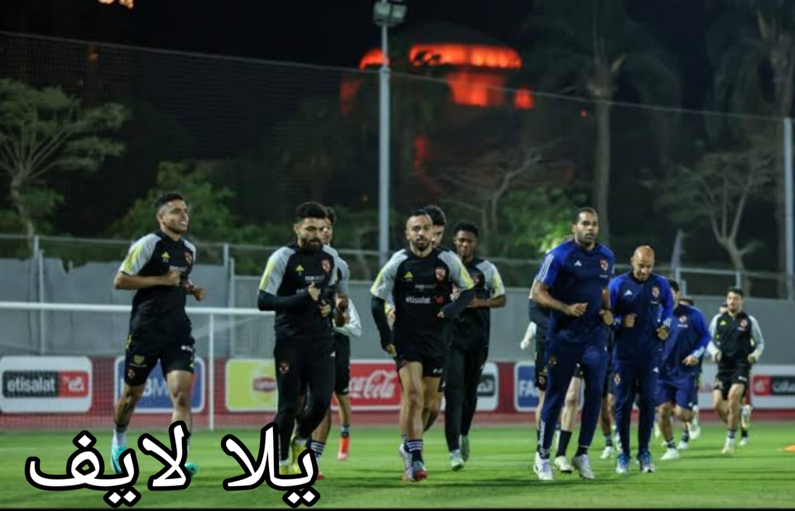 الأهلي