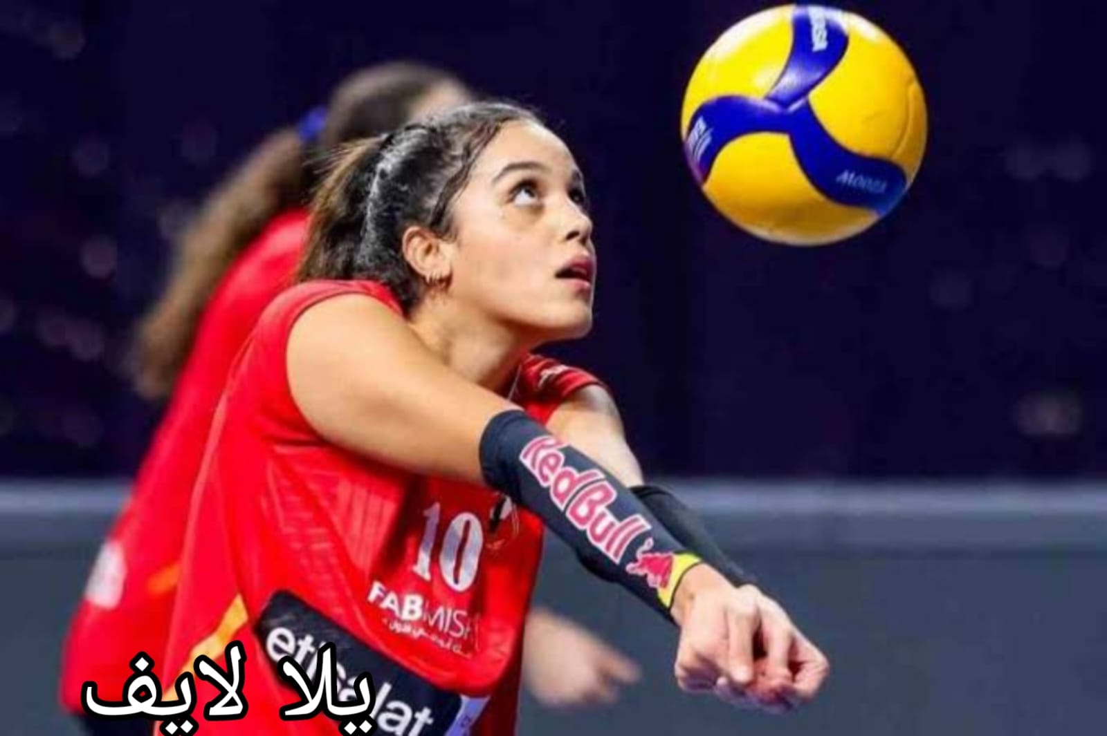 بطولة أمم افريقيا لكرة الطائرة
