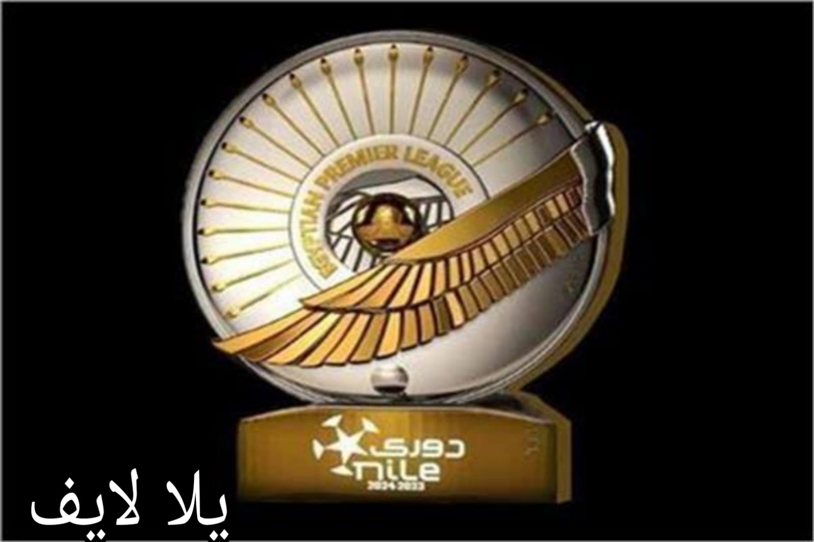 جدول ترتيب دوري المحترفين