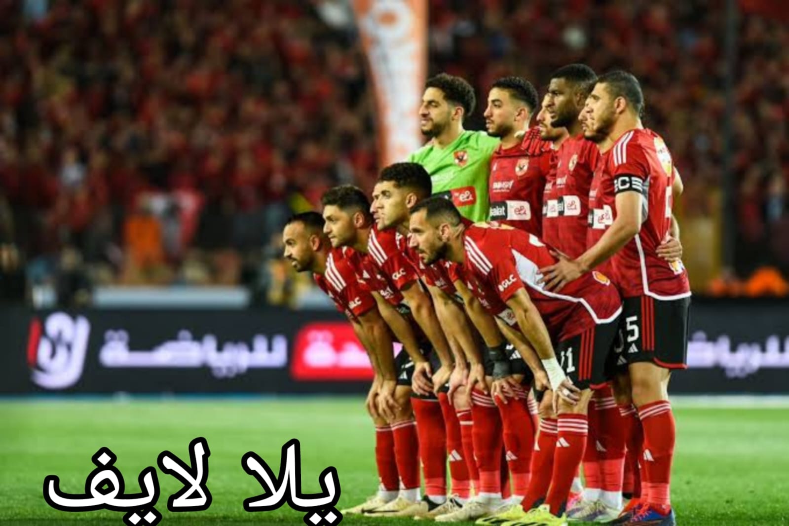 لجنة التخطيط بالأهلى