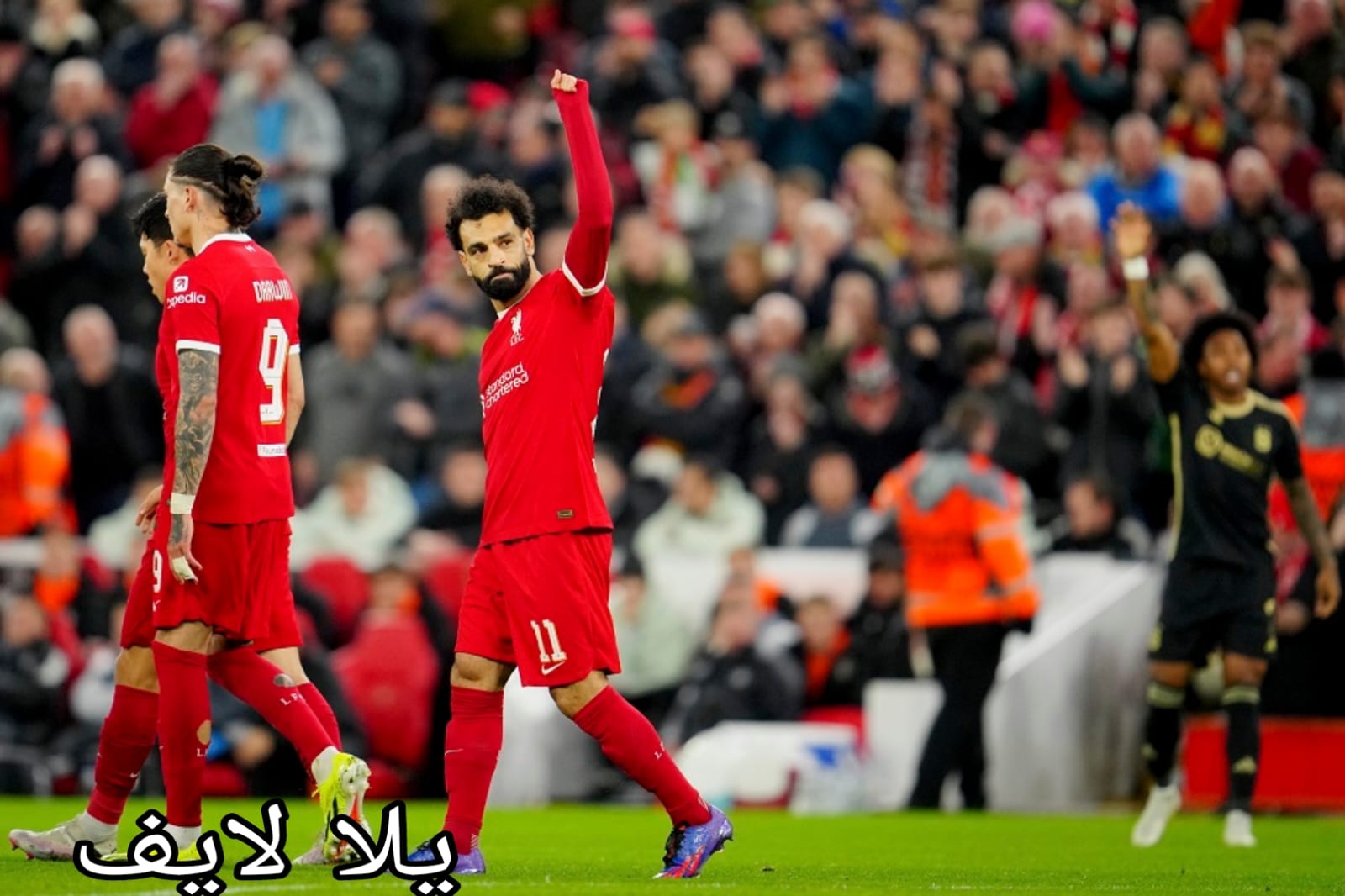 ليفربول وكريستال بالاس للدوري الانجليزي