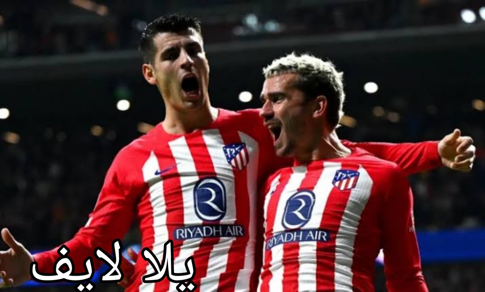 مباراة اتليتكو مدريد وبوروسيا
