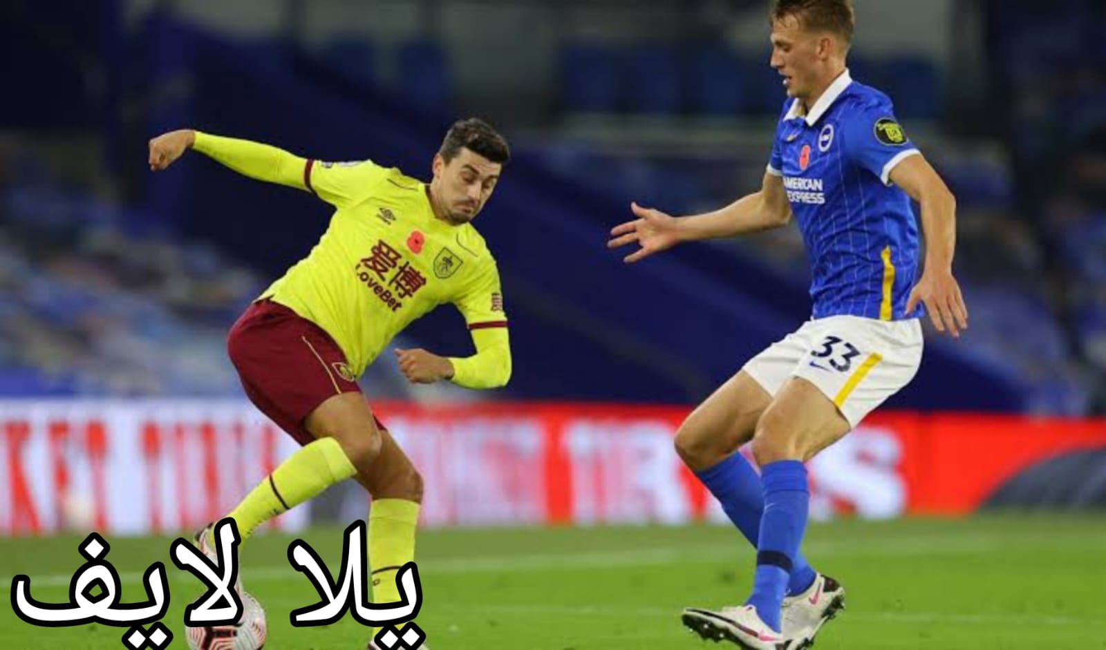 مباراة برايتون وبيرنلي